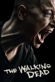 ดูซีรี่ย์ The Walking Dead เดอะ วอล์กกิง เดด Season 1-11