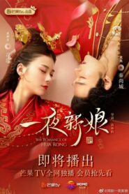 The Romance of Hua Rong เจ้าสาวโจรสลัด ตอนที่ 1-24 (จบ)