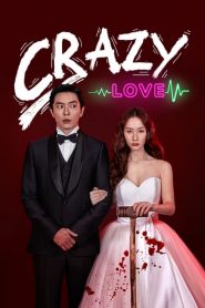 Crazy Love (2022) EP.1-16 (จบ)