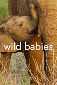 ดูซีรี่ย์ Wild Babies (2022) เกิดในป่า EP.1-8 (จบ)