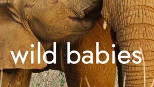 ดูซีรี่ย์ Wild Babies (2022) เกิดในป่า Season 1 ตอนที่ 3