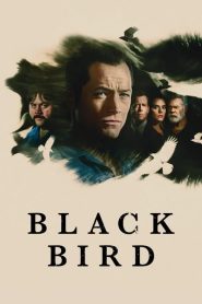ดูซีรี่ย์ Black Bird (2022) EP.1-6 (จบ)