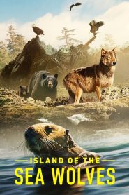 ดูซีรี่ย์ Island of the Sea Wolves (2022) เกาะหมาป่าทะเล EP.1-3 (จบ)