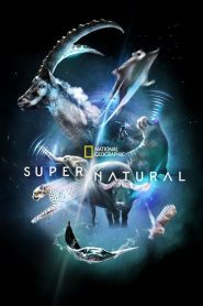 ดูซีรี่ย์ Super/Natural (2022) EP.1-6 (จบ)