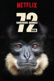 ดูซีรี่ย์ 72 Dangerous Animals (2018) 72 สัตว์อันตราย EP.1-12 (จบ)