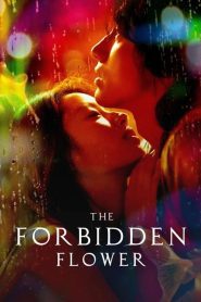 The Forbidden Flower (2023) บุปผาแห่งรัก EP.1-24 (จบ)